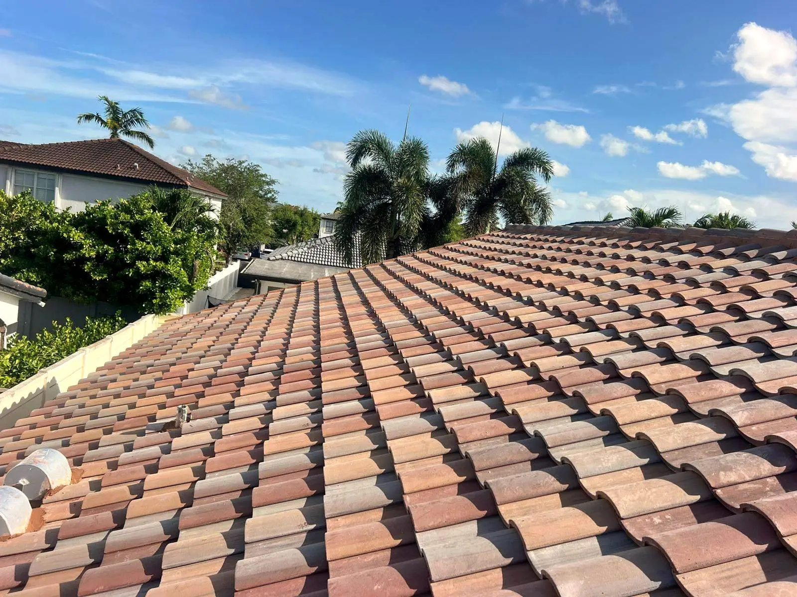 Finished clay barrel tile roof with palm trees beyond